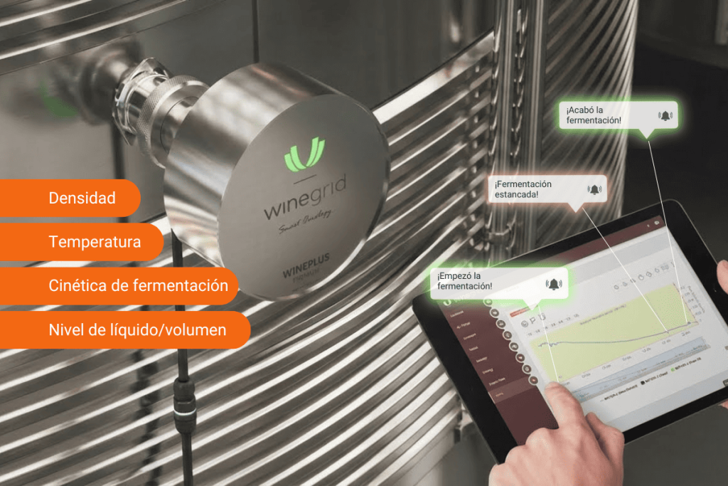 Sensor IoT Wineplus instalado en depósito de acero inoxidable monitorizando la densidad y temperatura de la fermentación en tiempo real.